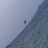 Sardinia 2005 - A100